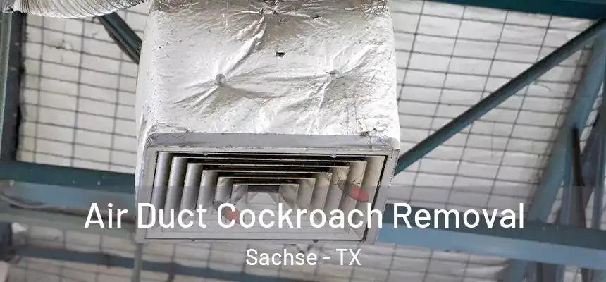  Air Duct Cockroach Removal Sachse - TX