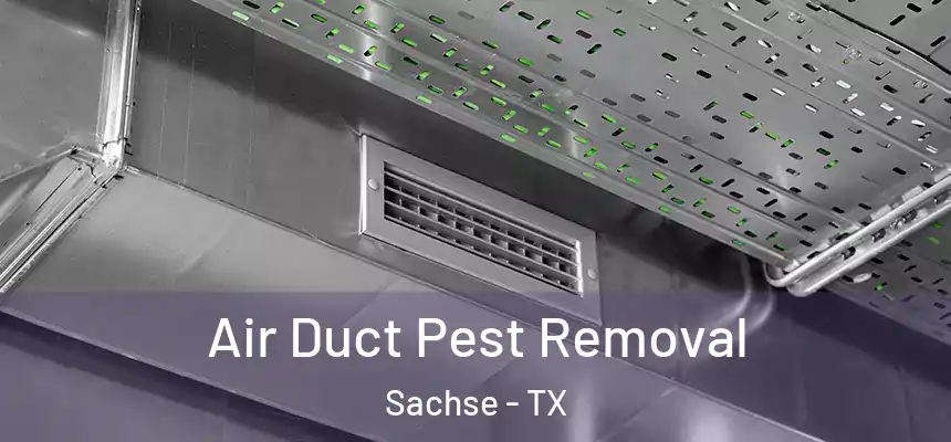 Air Duct Pest Removal Sachse - TX