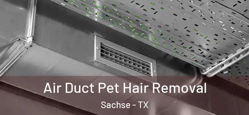  Air Duct Pet Hair Removal Sachse - TX