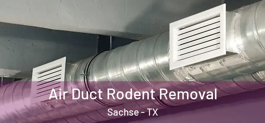  Air Duct Rodent Removal Sachse - TX