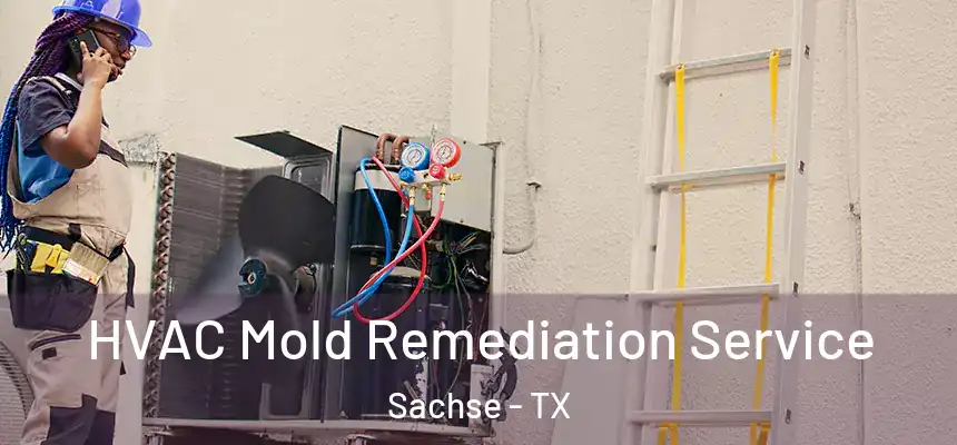  HVAC Mold Remediation Service Sachse - TX