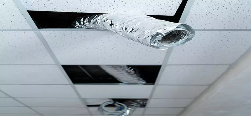 Our Air Duct Pet Hair Removal Services in Sachse, TX