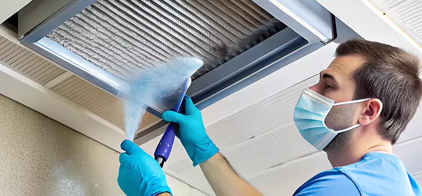 Proactive Dryer Vent & Auxiliary Duct Pollen Cleanup in Sachse, TX