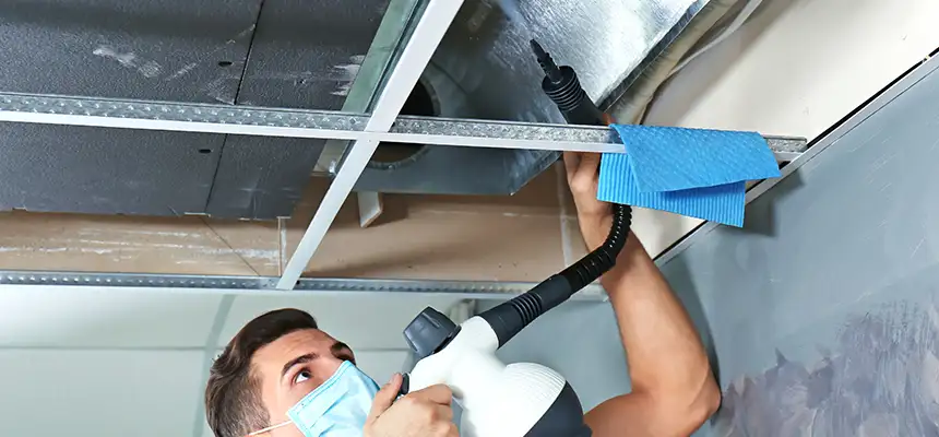 Our Air Duct Rodent Removal Services in Sachse, TX