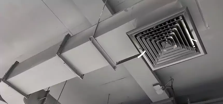 Restorative Allergy Relief Vent Cleaning – Coil, Blower & Housing Detail in Sachse