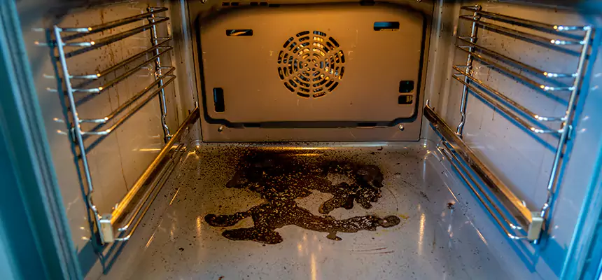 Our Dryer Vent Mold Cleaning Services in Sachse, TX