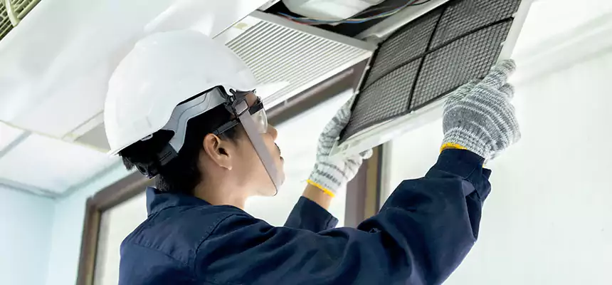 Our Mold & Mildew Removal from Air Ducts Services in Sachse, TX