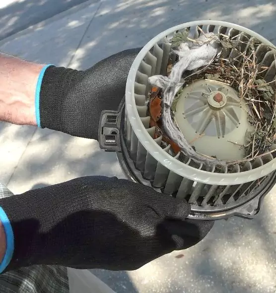 About Air Duct Mice Removal in Sachse, TX