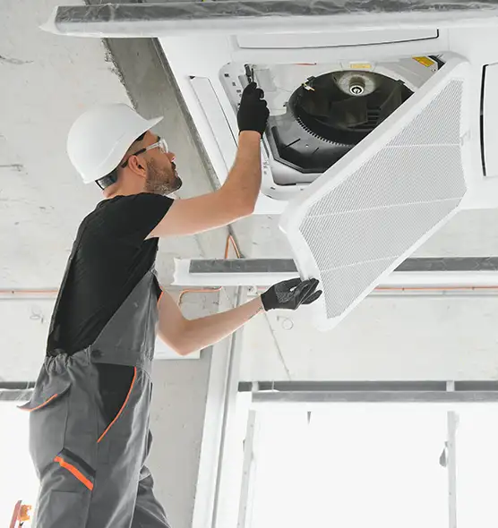 About Air Duct Rodent Removal in Sachse, TX