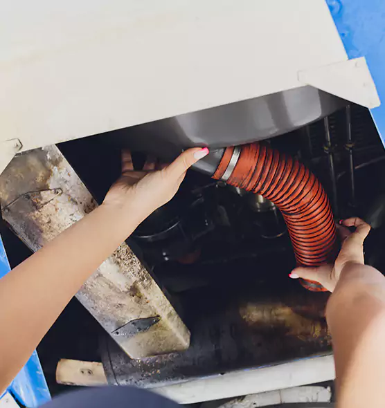 About Air Duct Virus Disinfection in Sachse, TX