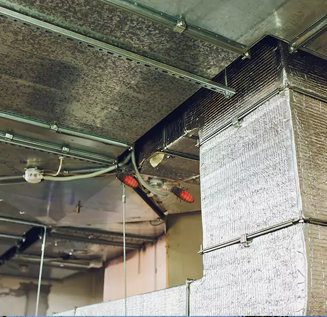 Why Homeowners & Businesses Trust Us in Sachse, TX?