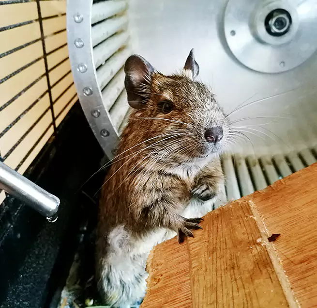 Why Homeowners & Businesses Trust Us Sachse, TX?