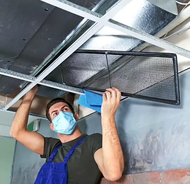 Why Homeowners Businesses Trust Us in Sachse, TX