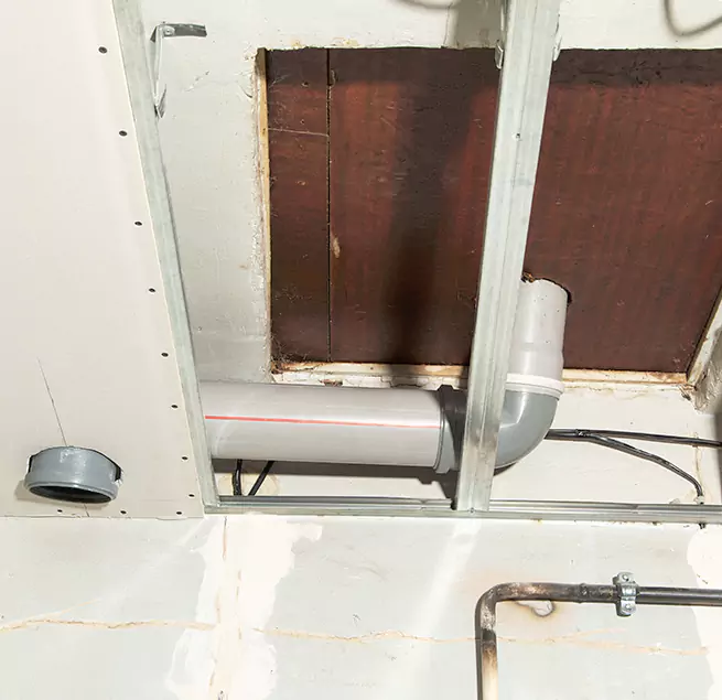 Why Homeowners & Businesses Trust Us in Sachse, TX?