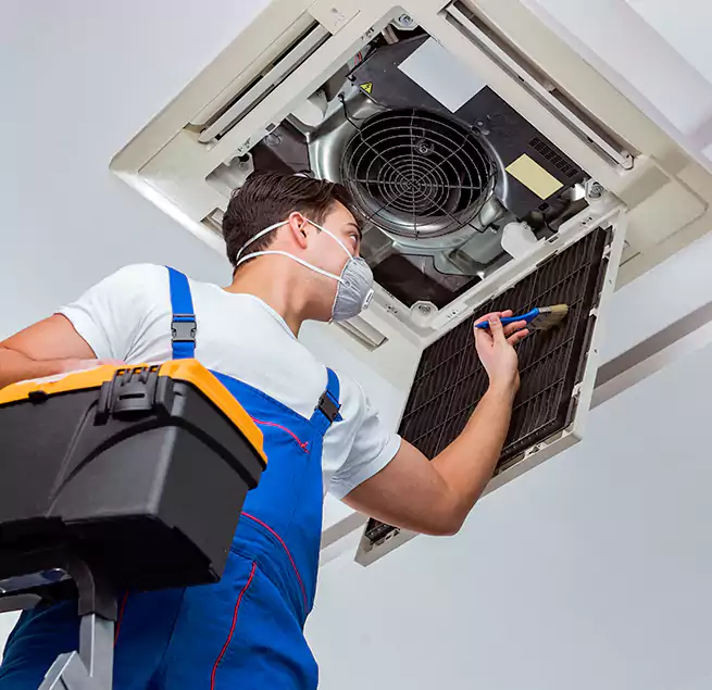 Why Homeowners & Businesses Trust Us in Sachse, TX