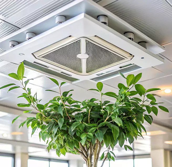 Why Homeowners & Businesses Trust Us in Sachse, TX?