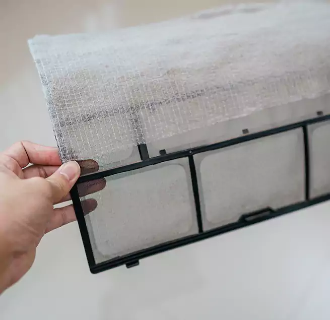 Why Homeowners & Businesses Trust Us in Sachse, TX?