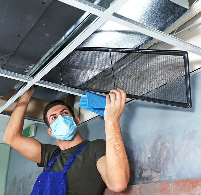 Why Homeowners & Businesses Trust Us in Sachse, TX?