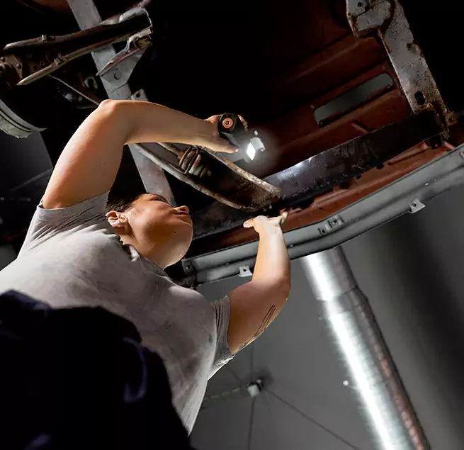 Why Homeowners & Businesses Trust Us Sachse, TX